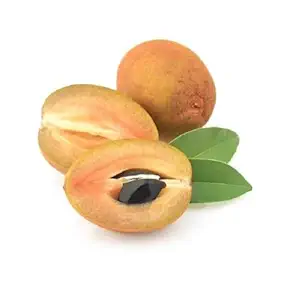 Sapota